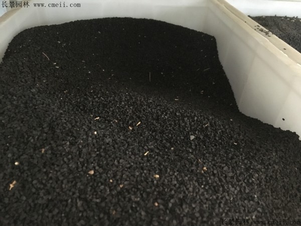 <a href='http://fscangbo.com/caohuazhongzi/1039.html' target='_blank'>大花蔥種子</a>圖片