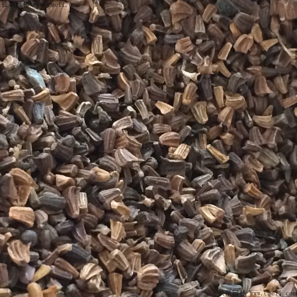 <a href='http://fscangbo.com/caohuazhongzi/1019.html' target='_blank'>艾草種子</a>圖片