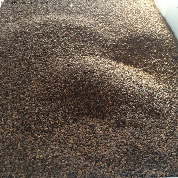 <a href='http://fscangbo.com/caohuazhongzi/1019.html' target='_blank'>艾草</a><a href='http://fscangbo.com/' target='_blank'>種子</a>圖片