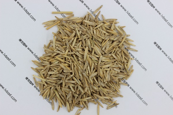 <a href='http://fscangbo.com/mucaozhongzi/1665.html' target='_blank'>冰草</a><a href='http://fscangbo.com/' target='_blank'>種子</a>