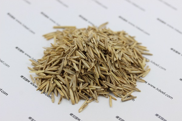 冰草<a href='http://fscangbo.com/' target='_blank'>種子</a>