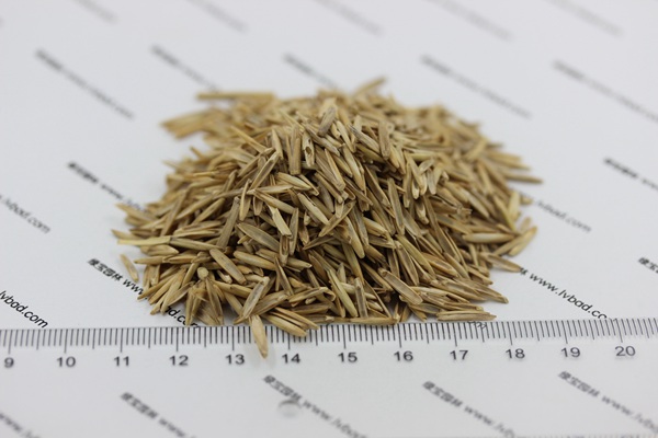 <a href='http://fscangbo.com/mucaozhongzi/1665.html' target='_blank'>冰草種子</a>