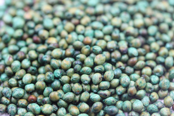 <a href='http://fscangbo.com/mucaozhongzi/1691.html' target='_blank'>甜高粱種子</a>