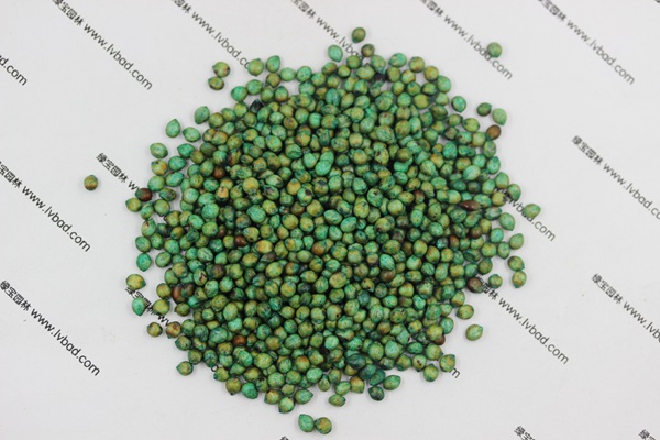 <a href='http://fscangbo.com/mucaozhongzi/1691.html' target='_blank'>甜高粱種子</a>