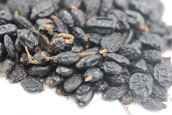 <a href='http://fscangbo.com/caohuazhongzi/1643.html' target='_blank'>繡球花</a><a href='http://fscangbo.com/' target='_blank'>種子</a>