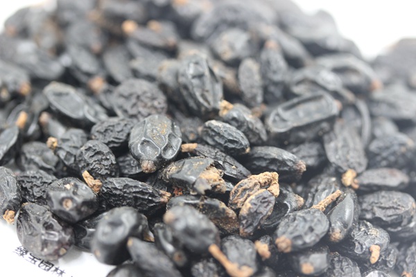 <a href='http://fscangbo.com/caohuazhongzi/1643.html' target='_blank'>繡球花種子</a>