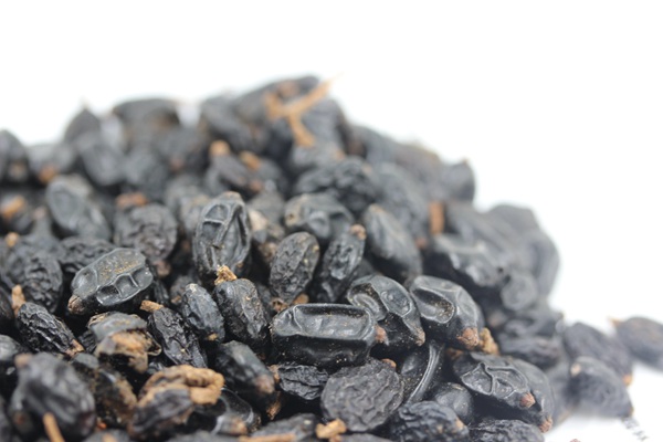 <a href='http://fscangbo.com/caohuazhongzi/1643.html' target='_blank'>繡球花種子</a>