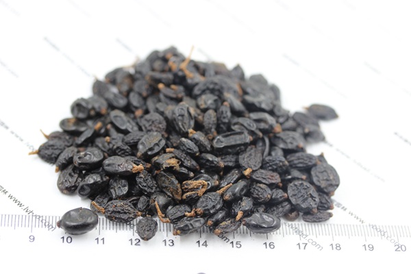 繡球花<a href='http://fscangbo.com/' target='_blank'>種子</a>