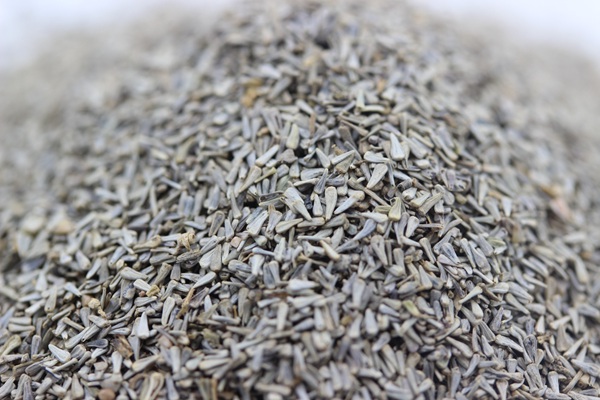 <a href='http://fscangbo.com/caohuazhongzi/1634.html' target='_blank'>五色梅種子</a>