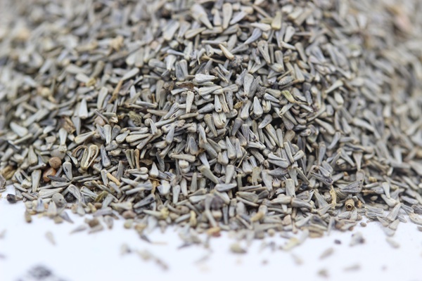 <a href='http://fscangbo.com/caohuazhongzi/1634.html' target='_blank'>五色梅</a><a href='http://fscangbo.com/' target='_blank'>種子</a>