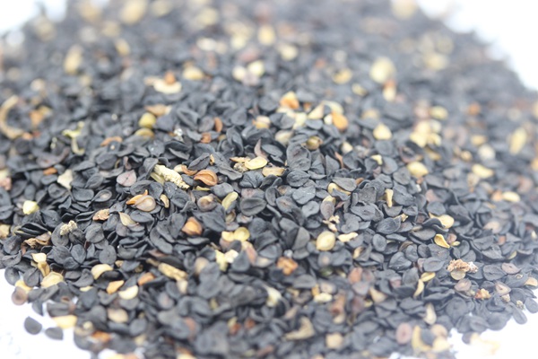 <a href='http://fscangbo.com/caohuazhongzi/1632.html' target='_blank'>五彩石竹</a><a href='http://fscangbo.com/' target='_blank'>種子</a>