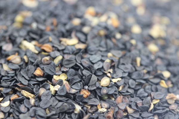 五彩<a href='http://fscangbo.com/caohuazhongzi/97045.html' target='_blank'>石竹種子</a>