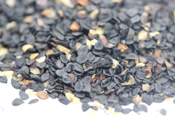 <a href='http://fscangbo.com/caohuazhongzi/1598.html' target='_blank'>美國石竹</a><a href='http://fscangbo.com/' target='_blank'>種子</a>