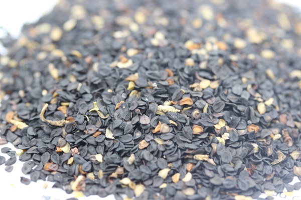 美國<a href='http://fscangbo.com/caohuazhongzi/97045.html' target='_blank'>石竹種子</a>