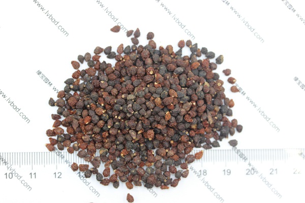 藍花<a href='http://fscangbo.com/caohuazhongzi/1578.html' target='_blank'>鳶尾種子</a>