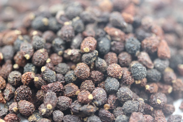 藍花<a href='http://fscangbo.com/caohuazhongzi/1578.html' target='_blank'>鳶尾種子</a>