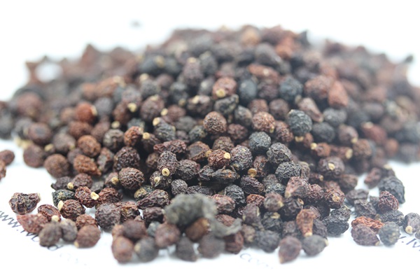 藍花<a href='http://fscangbo.com/caohuazhongzi/1578.html' target='_blank'>鳶尾</a><a href='http://fscangbo.com/' target='_blank'>種子</a>