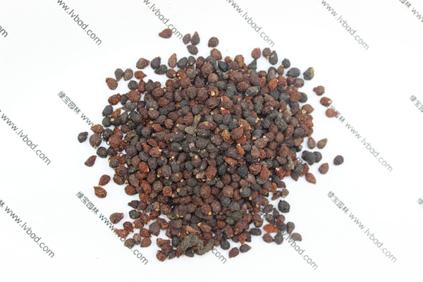 藍花<a href='http://fscangbo.com/caohuazhongzi/1578.html' target='_blank'>鳶尾</a><a href='http://fscangbo.com/' target='_blank'>種子</a>