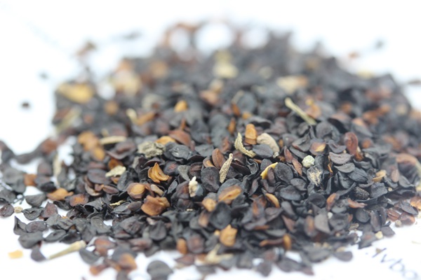 <a href='http://fscangbo.com/caohuazhongzi/1574.html' target='_blank'>康乃馨種子</a>