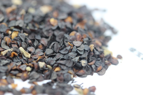 <a href='http://fscangbo.com/caohuazhongzi/1574.html' target='_blank'>康乃馨種子</a>