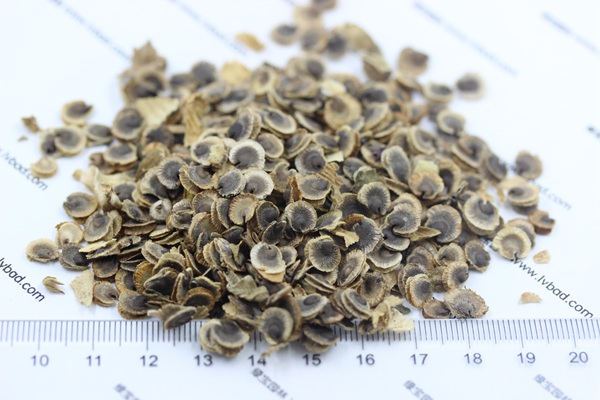 <a href='http://fscangbo.com/caohuazhongzi/1572.html' target='_blank'>錦葵</a><a href='http://fscangbo.com/' target='_blank'>種子</a>