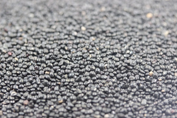 <a href='http://fscangbo.com/caohuazhongzi/1076.html' target='_blank'>雞冠花種子</a>