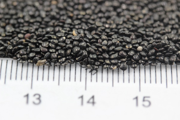 <a href='http://fscangbo.com/caohuazhongzi/1076.html' target='_blank'>雞冠花種子</a>