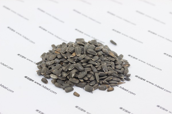 觀賞<a href='http://fscangbo.com/caohuazhongzi/97271.html' target='_blank'>向日葵種子</a>