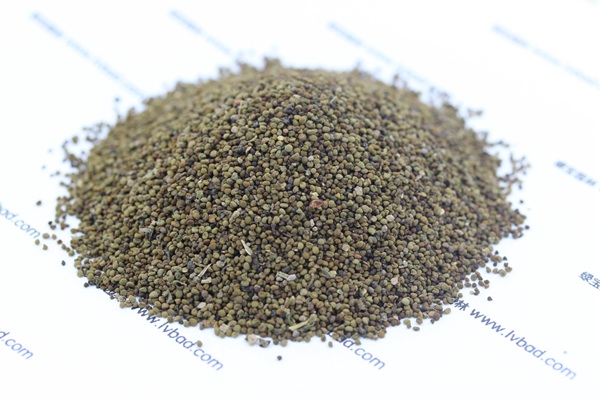 半枝蓮<a href='http://fscangbo.com/' target='_blank'>種子</a> 半枝蓮種子