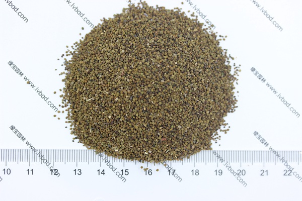 <a href='http://fscangbo.com/caohuazhongzi/1022.html' target='_blank'>半枝蓮種子</a> 半枝蓮<a href='http://fscangbo.com/' target='_blank'>種子</a>