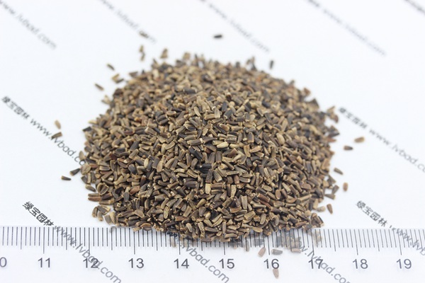 <a href='http://fscangbo.com/mucaozhongzi/14254.html' target='_blank'>菊苣種子</a>