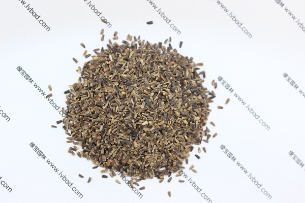 <a href='http://fscangbo.com/mucaozhongzi/14254.html' target='_blank'>菊苣</a><a href='http://fscangbo.com/' target='_blank'>種子</a>