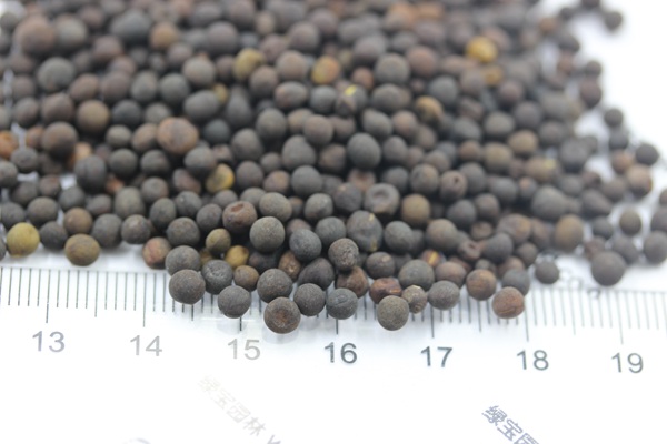 <a href='http://fscangbo.com/mucaozhongzi/6.html' target='_blank'>紫花苕種子</a>