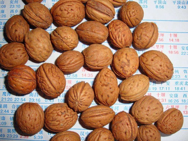 <a href='http://fscangbo.com/guoshuzhongzi/2185.html' target='_blank'>山桃種子</a>