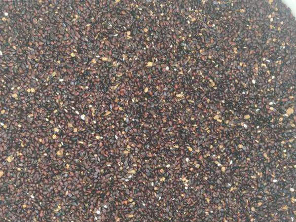 <a href='http://fscangbo.com/guoshuzhongzi/1881.html' target='_blank'>梨樹(shù)種子</a> <a href='http://fscangbo.com/guoshuzhongzi/1881.html' target='_blank'>梨樹(shù)</a><a href='http://fscangbo.com/' target='_blank'>種子</a>