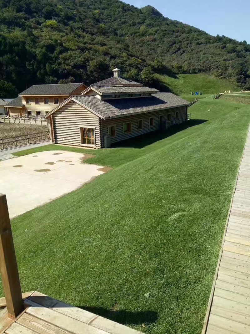 狗牙根在園林的應(yīng)用花園邊坡護(hù)坡 狗牙根在園林的應(yīng)用花園邊坡護(hù)坡