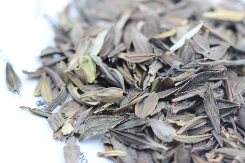 <a href='http://fscangbo.com/caohuazhongzi/1020.html' target='_blank'>百日草種子</a>