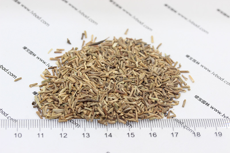 <a href='http://fscangbo.com/caohuazhongzi/1600.html' target='_blank'>美女櫻種子</a>