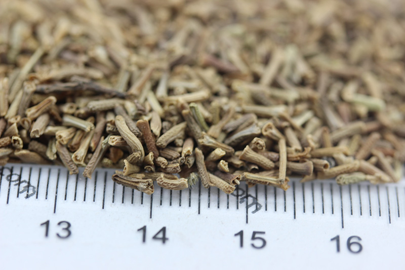 <a href='http://fscangbo.com/caohuazhongzi/1600.html' target='_blank'>美女櫻種子</a>