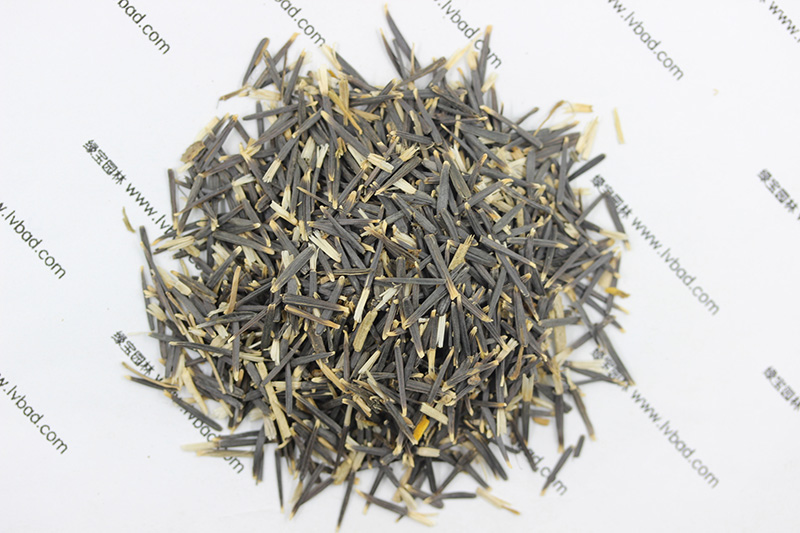 <a href='http://fscangbo.com/caohuazhongzi/1631.html' target='_blank'>萬(wàn)壽菊種子</a>