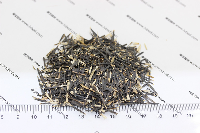 <a href='http://fscangbo.com/caohuazhongzi/1631.html' target='_blank'>萬(wàn)壽菊種子</a>