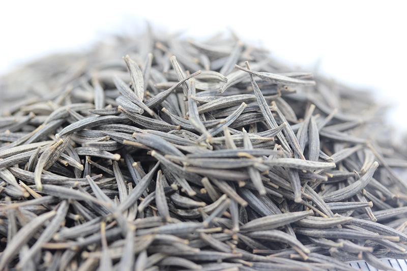 <a href='http://fscangbo.com/caohuazhongzi/1054.html' target='_blank'>格桑花</a><a href='http://fscangbo.com/' target='_blank'>種子</a>