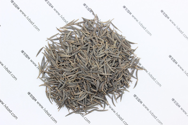 <a href='http://fscangbo.com/caohuazhongzi/1054.html' target='_blank'>格?；ǚN子</a>