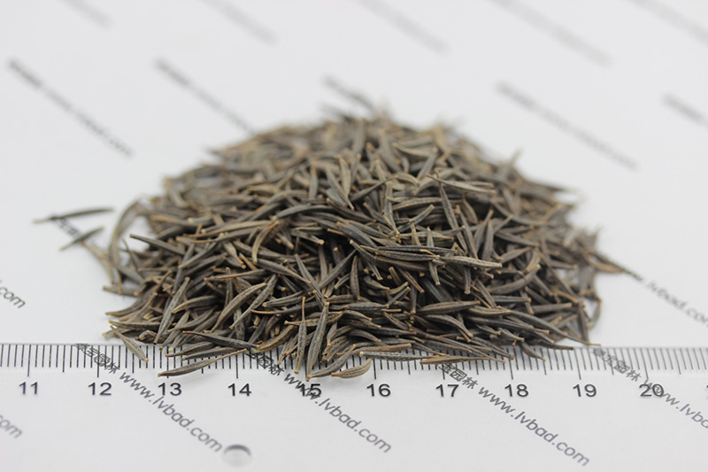 <a href='http://fscangbo.com/caohuazhongzi/1054.html' target='_blank'>格桑花種子</a>