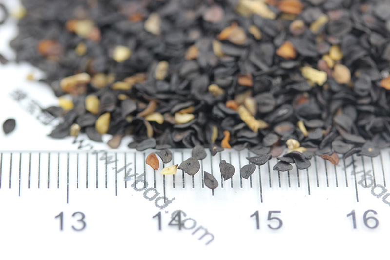 <a href='http://fscangbo.com/caohuazhongzi/97045.html' target='_blank'>石竹種子</a>