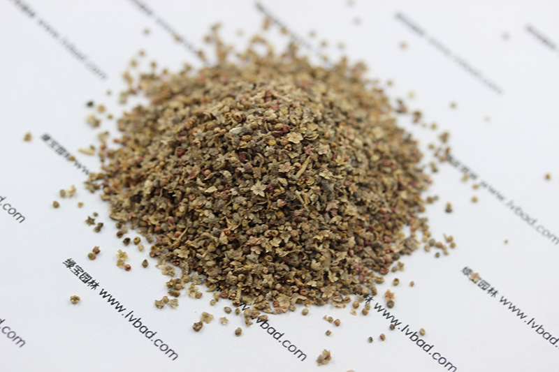 紅<a href='http://fscangbo.com/caohuazhongzi/1041.html' target='_blank'>地膚</a><a href='http://fscangbo.com/' target='_blank'>種子</a>