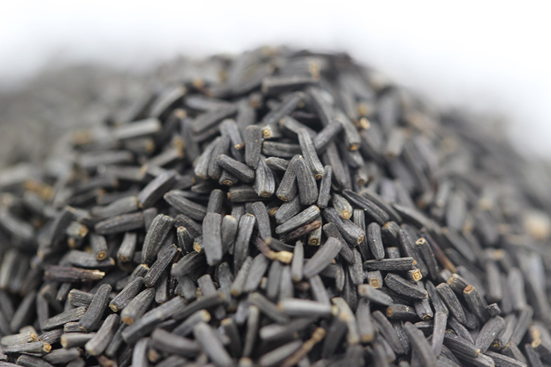 <a href='http://fscangbo.com/caohuazhongzi/1060.html' target='_blank'>黑心菊</a><a href='http://fscangbo.com/' target='_blank'>種子</a>