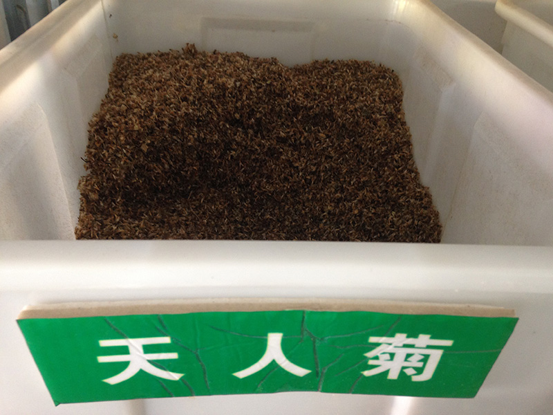 <a href='http://fscangbo.com/caohuazhongzi/16044.html' target='_blank'>天人菊</a><a href='http://fscangbo.com/' target='_blank'>種子</a>