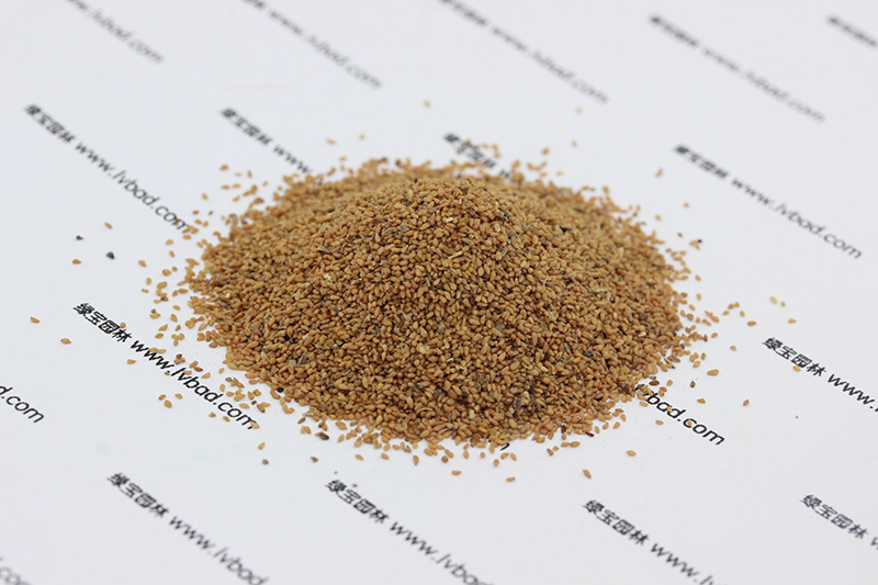 月見草<a href='http://fscangbo.com/' target='_blank'>種子</a>