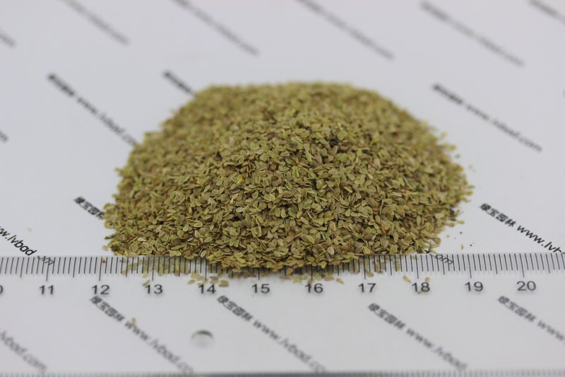 雛菊<a href='http://fscangbo.com/' target='_blank'>種子</a>